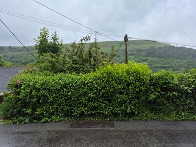 Picture 19